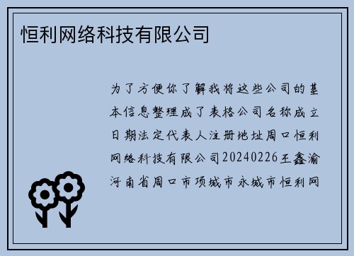 恒利网络科技有限公司
